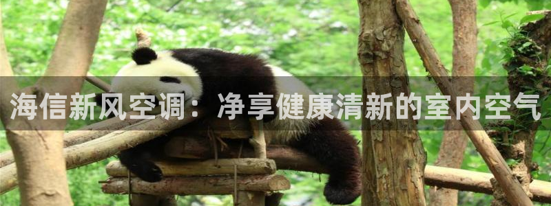 环球360是什么
