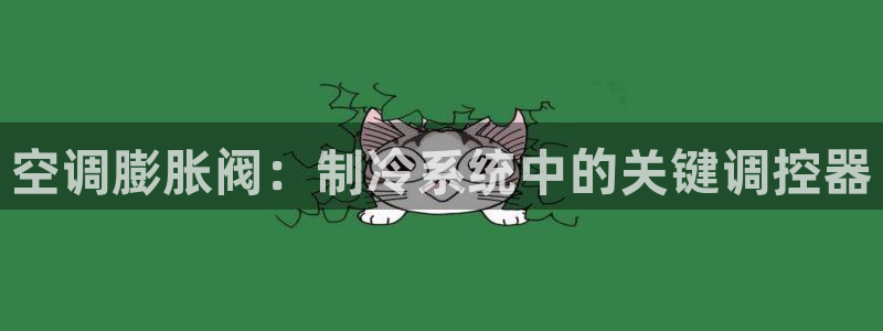环球360手机版登录网址下载安装