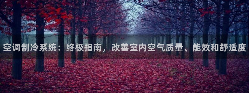 环球360的官网客服在哪里找到