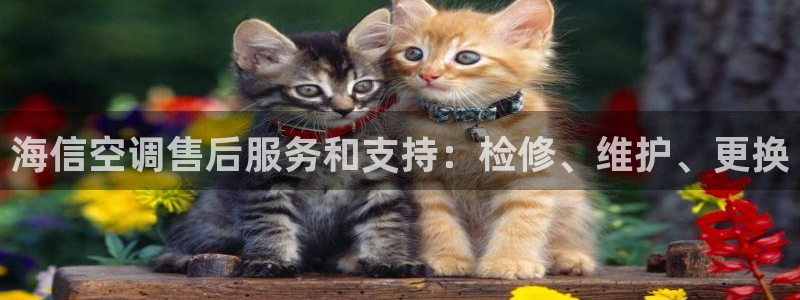 环球360这个娱乐网怎么样
