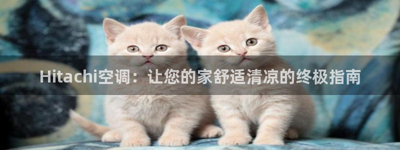 环球360官网手机版下载