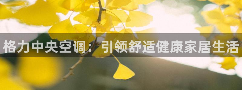 环球360的官网客服在哪里找到