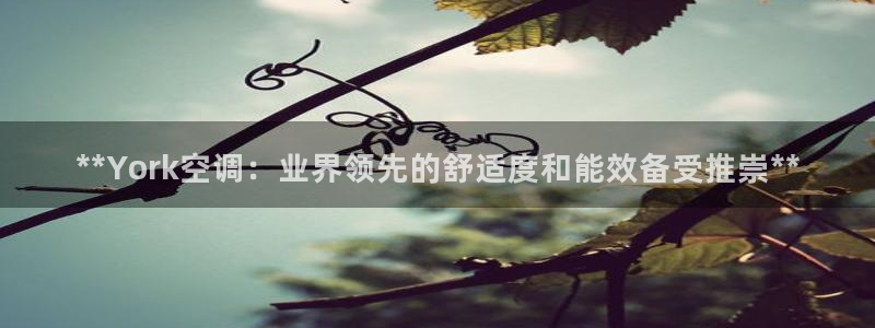 环球360卖分代理