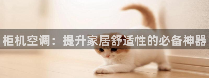 环球360放线