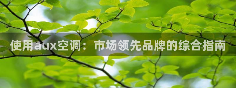 环球360包杀网
