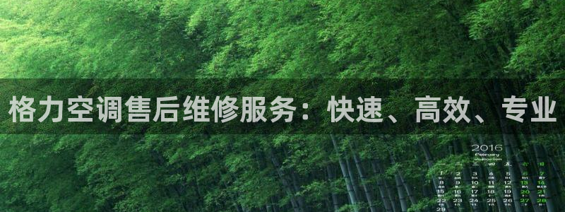 环球360登录网址是什么啊