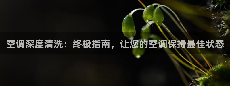 环球360登录网址是什么啊