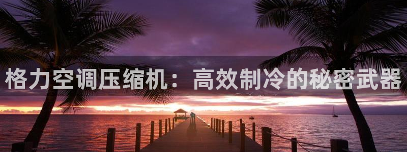 环球360代理买分