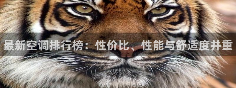 环球360官网最新网站