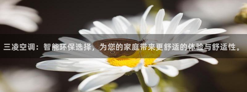环球360网站最新官网地址查询