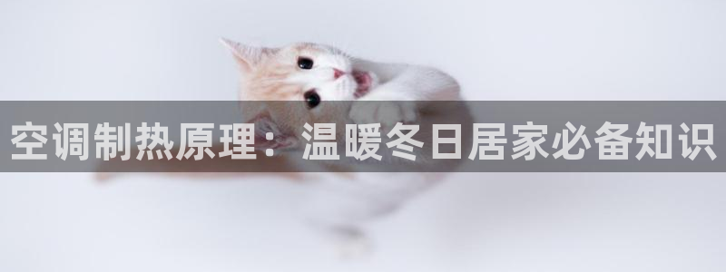 环球360的官网客服在哪里找到